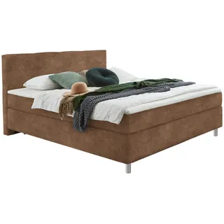 Hom`in Boxspringbett , Braun , Kunststoff , H3 , Höhe ca. 18 cm , 100x200 cm , Stoffauswahl, Topper durchgehend, in verschiedenen Größen erhältlich, Matratze in verschiedenen Härtegraden erhältlich, Topperauswahl, Kopfteilauswahl , Schlafzimmer, Betten, Einzelbetten