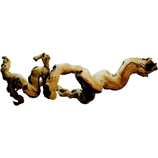 Lucky Reptile Premium Rebholz, Größe:Groß