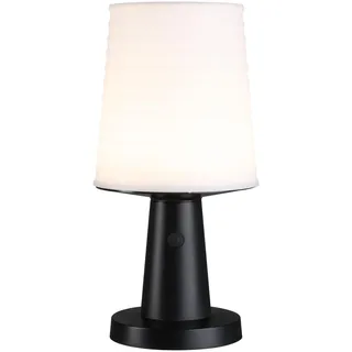 Paulmann Solarleuchte Kunststoff 30,0 cm IP44 125lm anthrazit