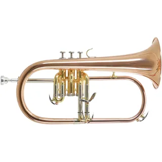 Gewa Roy Benson Bb-Flügelhorn FH-302G (mit 11mm MS Bohrung, Goldmessing Schallstück, Edelstahl Ventilen, inkl. leichtem Rechtecketui, mit Rucksackfunktion, Größe: 6"), lackiert