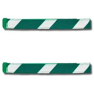 Satch SWAP Green & White