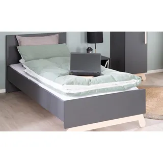 roba Jugendbett Jara 90 x 200 cm Buche massiv grau