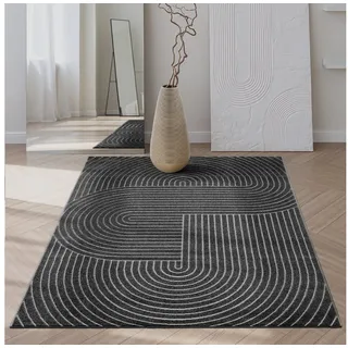 The CarPET Santo Plus - Teppich für Wohnzimmer & Schlafzimmer, Hochwertig, Pflegeleicht & Langlebig, Modernes Design, auch für Outdoor geeignet, Anthrazit, 80 x 150 cm