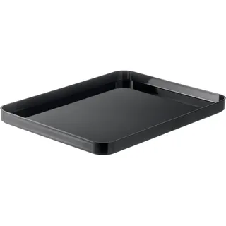SmartStore Aufbewahrungsbox Compact L 1-tlg. grau