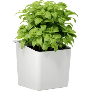 Tesa Kräutertopf, weiß, 14 x 15 x 14 cm, aus Kunststoff, für innen