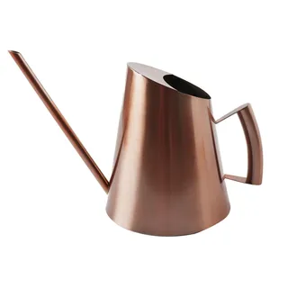 Lfhelper Gießkanne Zimmerpflanzen 1.5L Edelstahl Giesskanne Indoor | Lange Tüllen Blumengießkanne mit Komfort Griff, für Familie Büro, 27 * 19 cm Giesskanne Zimmerpflanzen