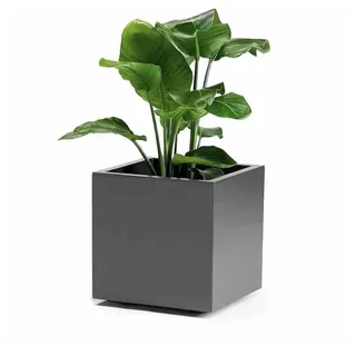 Euro3Plast GREENER KEBE 40 40 x 40 x 40 cm Anthrazit