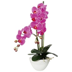 Bild Kunstpflanze »Orchidee«, lila