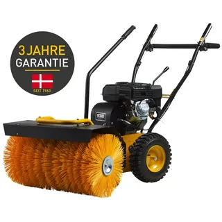 TEXAS Handy Sweep 650TG