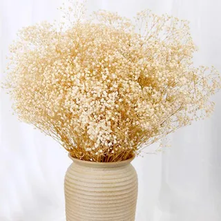 2000+ STK Getrocknetes Schleierkraut, 43 cm Elfenbein für Hochzeit & Vase | Natürliche Gypsophila-Zweige, Trockenblumen, Tischvasendekor, DIY-Kranzfloristik, Heim- Büro- Party- Gartendekor, langlebige