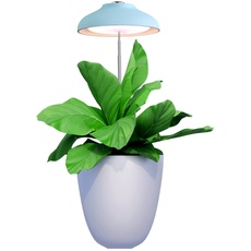 Ninfa Umbrella Pflanzenlampe mit Vollspektrum Licht (5W, 3500K, 240 Lumen, USB, 1.5A/5V) - LED Pflanzenlampe mit 4 Farben, 120 Grad Abstrahlwinkel - Pflanzenlicht mit automatischem Timer (Blau)