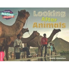 Cambridge Reading Adventures Looking After Animals Pink B Band