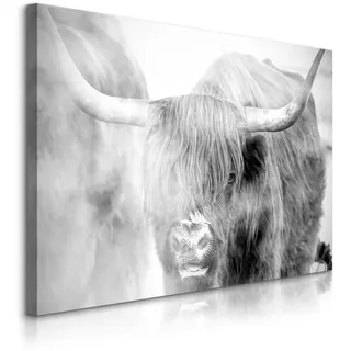 Muralo Leinwandbild Für Schlafzimmer Schwarz-weiß Schottische Kuh Natur 3D 120/80 cm , Textil , Tiere , Rechteckig , 120x80 cm , Bilder & Rahmen, Bilder, Leinwandbilder