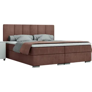 FURMEB24 - LIVIO 120 x 200 cm- Boxspringbett mit zwei Bettksten - Polsterbett mit Holzrahmen - Doppelbett mit hohem Kopfteil - Monolith - Hellbraun - Hellbraun