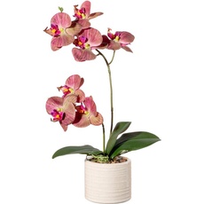 Bild Kunstorchidee »Orchidee Phalaenopsis in Keramiktopf«, mit Real-Touch-Blüten, bunt