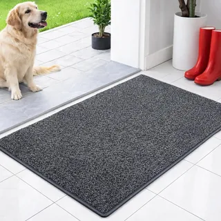 Floordirekt Schmutzfangmatte innen 120 x 180 cm - Anthrazit - rutschfeste Maschinenwaschbare Fußmatte - Türmatte Sauberlaufmattestürmatte - Fussmatte für Hund - Haustür & Flur - NASA