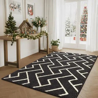 Biscpro Schmutzfangmatte 90 x 150, Rutschfestigkeit Fußmatte,Maschine gewaschen Türmatte für Hund, Außen Innen Garten,Teppich,küchenteppich,Haustür