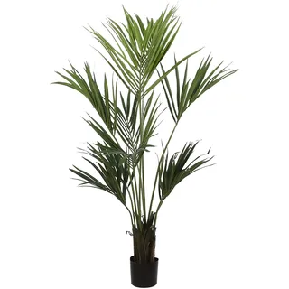 Mica decorations Kentiapalme - Kunstpflanze - H150 cm