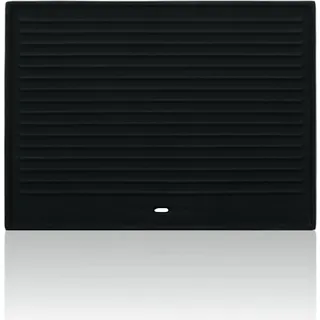 BBQ-Toro Gusseisen Grillplatte 41,5 x 31 cm, passend für Gasgrill, Holzkohlegrill, Grillzubehör - Schwarz