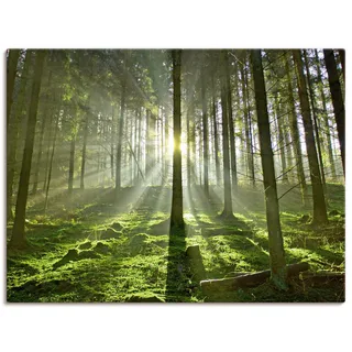Artland Wandbild »Wald im Gegenlicht« Wald 1 Stk. tlg. als Leinwandbild, Poster in verschied. Größen, grün