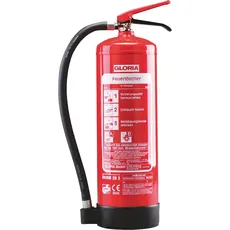 Feuerlöscher tragb. SF6EASY FR WH Schaum Aufladelöscher frostsicher -30° ÖN EN3