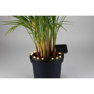 12x Solar LED-Beleuchtung Blumen Ø20-25 x 3 cm Garten Terrasse Solarleuchte