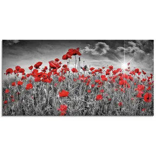 Artland Glasbild »Idyllisches Mohnblumenfeld mit Sonne« Blumen 1 Stk. tlg. in verschiedenen Größen, schwarz
