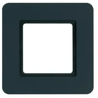 Berker Rahmen 1-fach anthrazit-samt LED-Beleuchtung 10116106