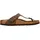 Gizeh taupe 43