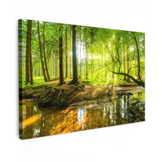 MuchoWow Leinwandbild Wald - Landschaft - Wasser - Bäume - Sonne - Grün - Natur Wanddeko 90x60 cm , Textil , Rechteckig , 90x60 cm , FSC 100% , gerahmt , Bilder & Rahmen, Bilder, Leinwandbilder