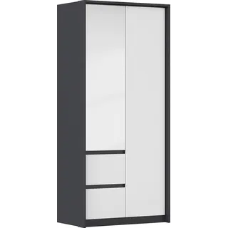 Rauch Drehtürenschrank Mainz mit Spiegel 96 x 212 x 58 cm Grau