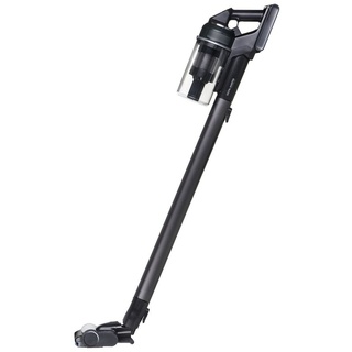 Jet 85 Pet VS20C8522TN/GE