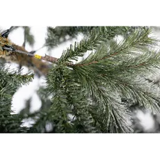 Bild von Weihnachtsbaum Cedar Kiefer Frost 210 cm