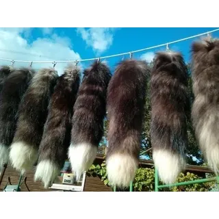 Fuchsschwanz Fuchs Schwanz Schweif Fuchsschweif Fuchsrute Silberfuchs Anhänger - 40 cm + X