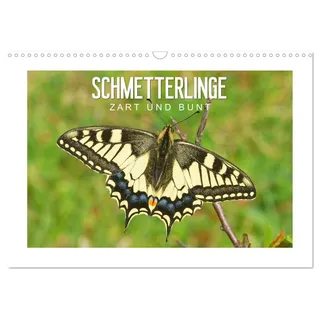 Schmetterlinge: zart und bunt (Wandkalender 2026 DIN A3 quer), CALVENDO Monatskalender: Das Glück ist wie ein Schmetterling (CALVENDO Tiere)