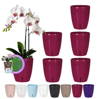Santino 6er-Set Selbstbewässernder Topf mit Dochtsystem und Wasserstandsanzeige für den Innenbereich, Orchideentopf D 12cm (Purple, 1,3L)