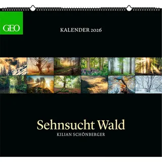 GEO - Kalender: Sehnsucht Wald 2026 – Wandkalender 60x55 cm, Naturkalender mit stimmungsvollen Waldfotografien von Kilian Schönberger, 12 Monatsblätter & Spiralbindung für Naturfreunde