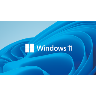 Windows 11 Pro DVD DSP/SB EN