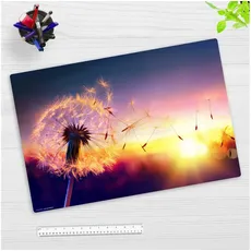 Bild Cover-your-desk Schreibtischunterlage für Kinder und Erwachsene Pusteblume im Sonnenlicht, aus hochwertigem Vinyl , 60 x 40 cm