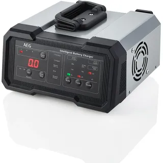 AEG Batterieladegerät CW20