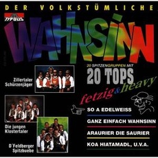 Musik Der Volkstümliche Wahnsinn/2 / Various, (1 CD)