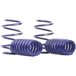 H&R HR Fahrwerksatz Federn (28832-1)