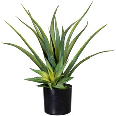 Bild Künstliche Zimmerpflanze »Deko-Sukkulente Aloe«, grün