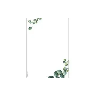 SIGEL Motivpapier weiß,grün DIN A5 90 g/m2 100 Blatt