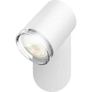 Philips Hue White Ambiance Adore weiß 250 lm inkl. Dimmer