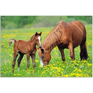 Wallario Outdoor-Poster für Garten oder Balkon, Motiv Pferde auf der Koppel, in ca. 80 x 120 cm - Grün