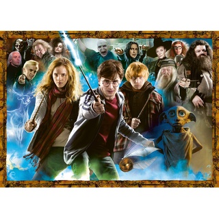 HARRY POTTER Puzzle 15171 - Zauberschüler Harry Potter - 1000 Teile Harry Potter Puzzle für Erwachsene und Kinder ab 14 Jahren