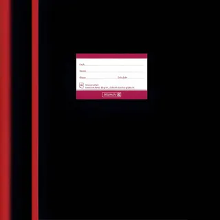 Brunnen Schulheft Oberschule Lineatur 25 liniert DIN A4 20 Blatt, 1 St.