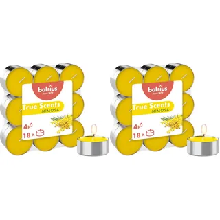 Bolsius True Scents – 18 Teelichter – Mimosa – Brenndauer: 4 Stunden – Innendekoration – natürliche Extrakte – mit natürlichem veganem Wachs (Packung mit 2)