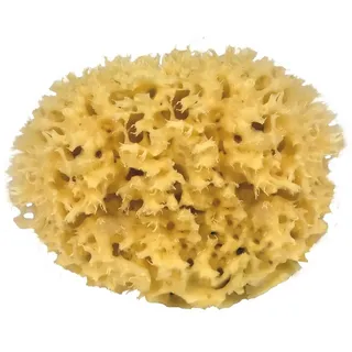 Croll & Denecke M130 Naturschwamm aus dem Mittelmeer, Mediumqualität, Größe 13 cm, Natur